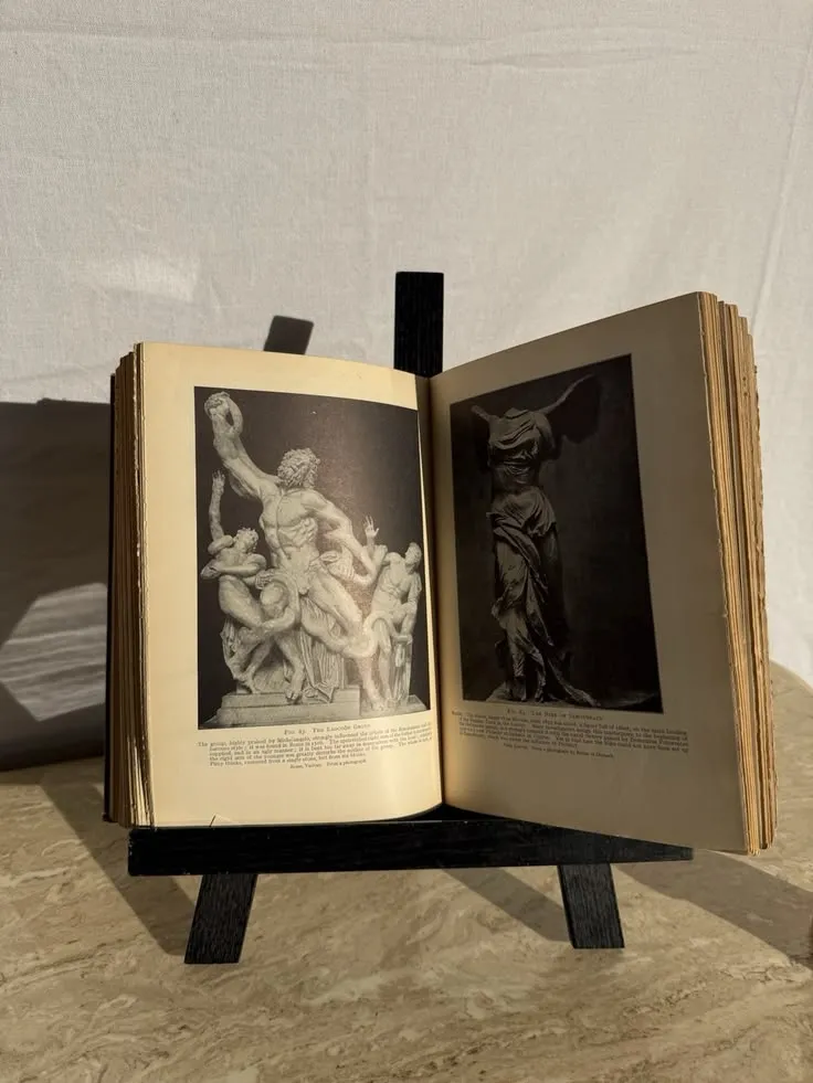 Art history pocket book