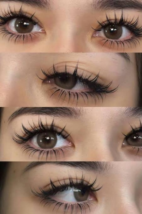 Lashes