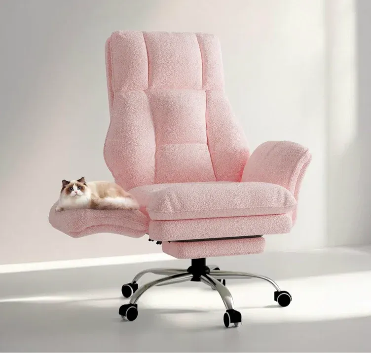 Office Chair with Pet Arm Rests