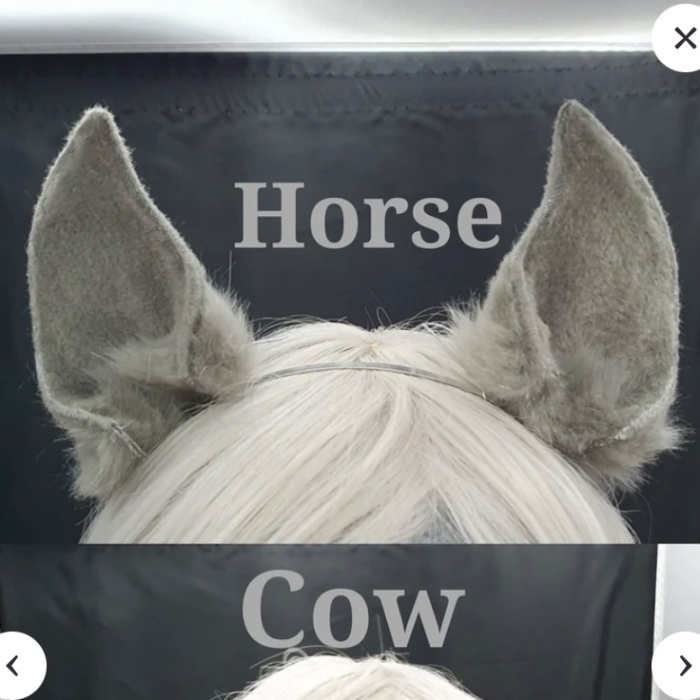custome horse ears
