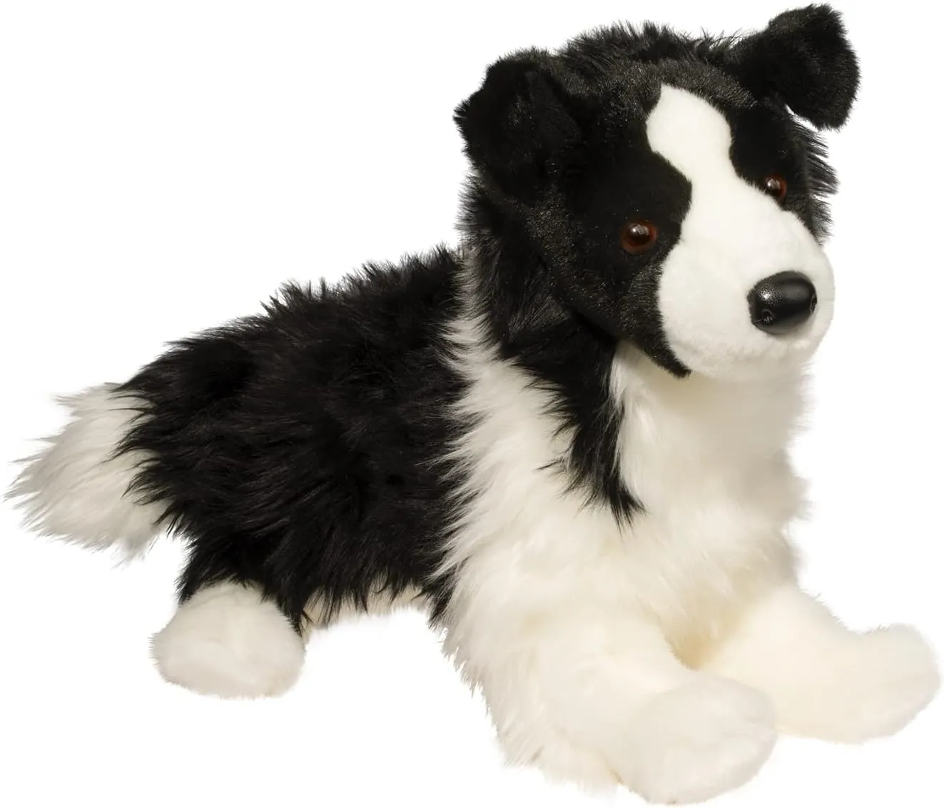 douglas border collie