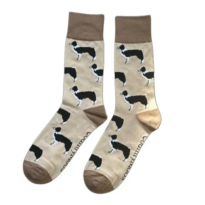 border collie socks