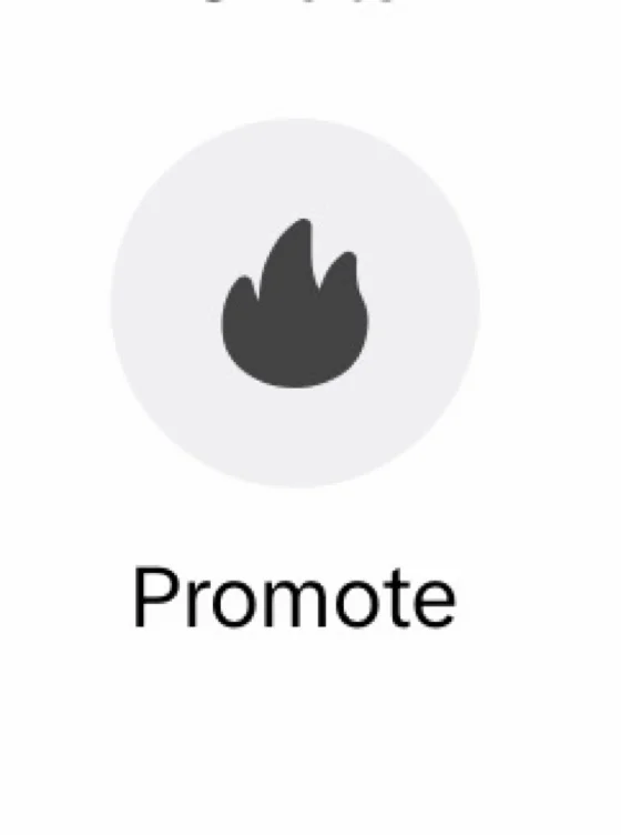 Promote/Hype/Advertise