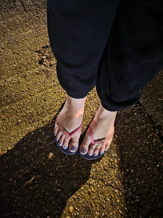 Buy me chocolate bars