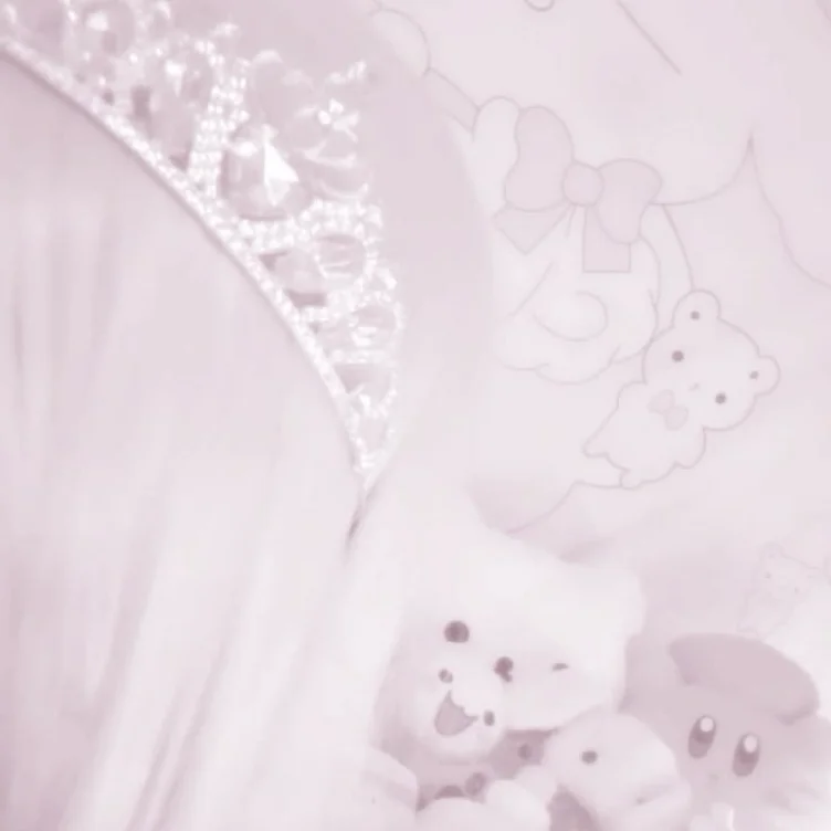 ♡‧₊ Shopping Spree 