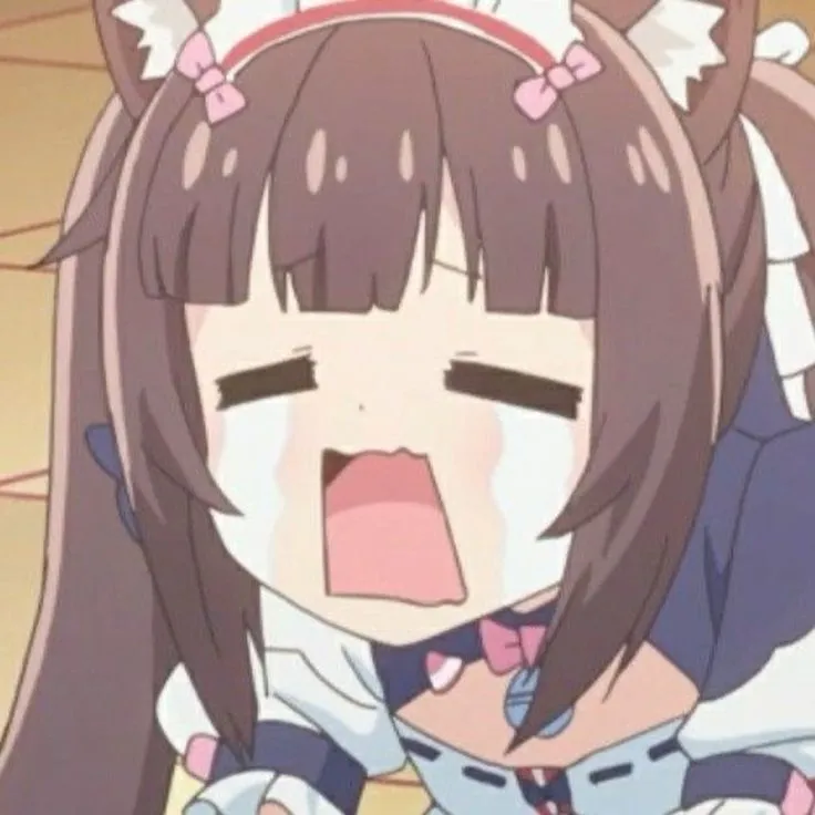 moni ♡