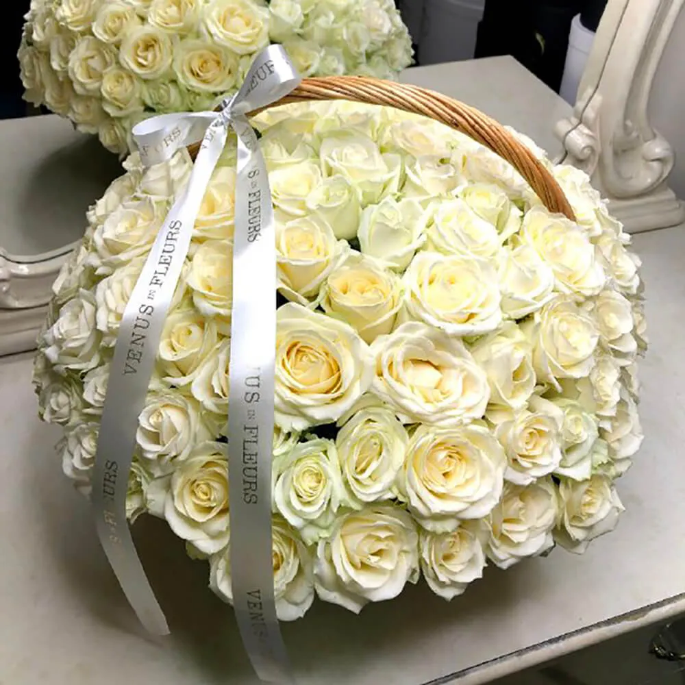 White roses medium