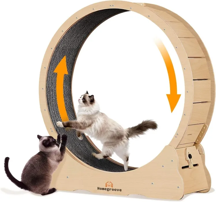 homegroove Cat Exercise Wheel
