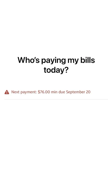 My credit card payment 