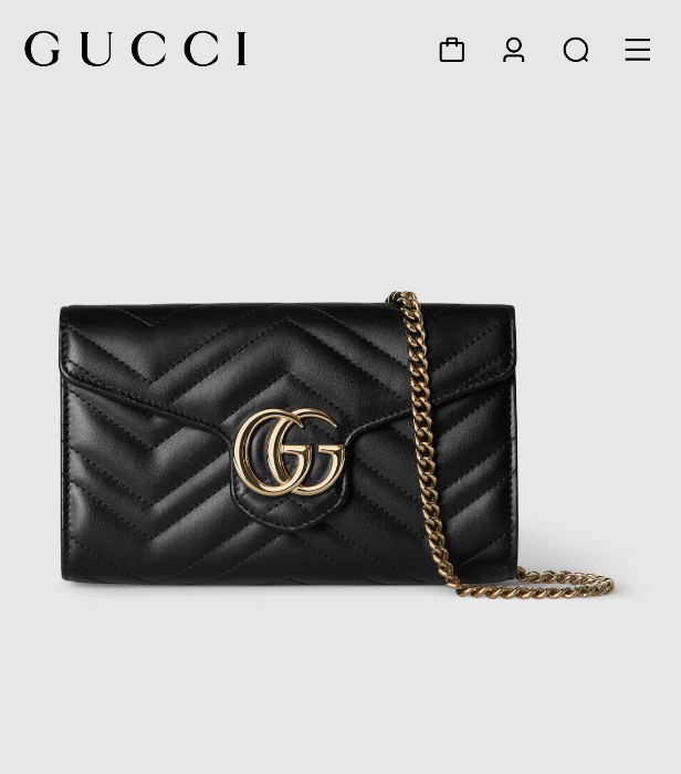 Gucci bag
