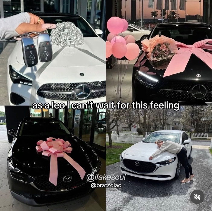 Help get Princess on Wheels 