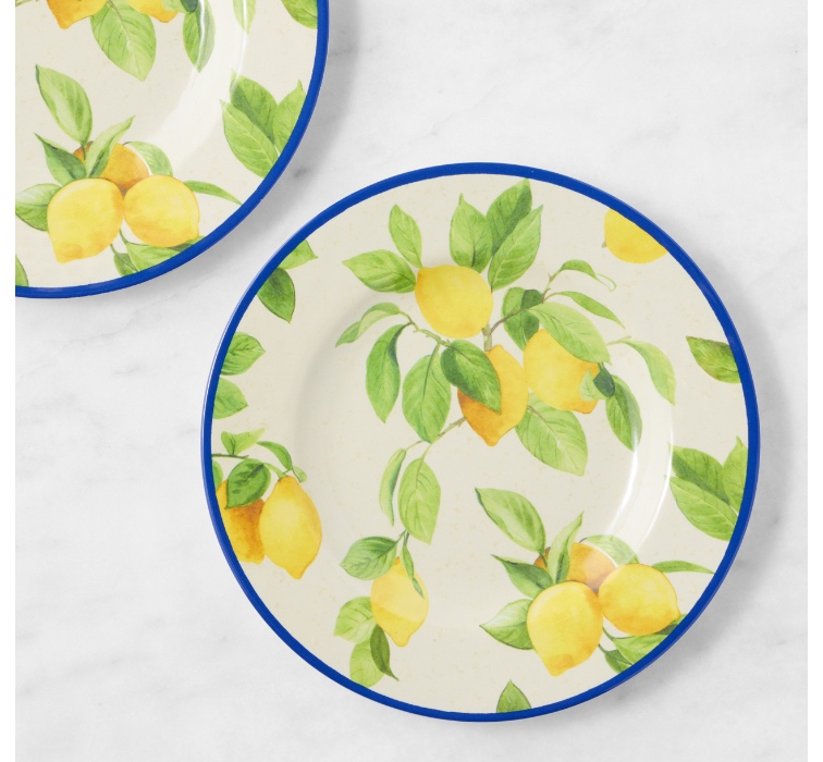 Williams Sonoma outdoor salad plates set of 4