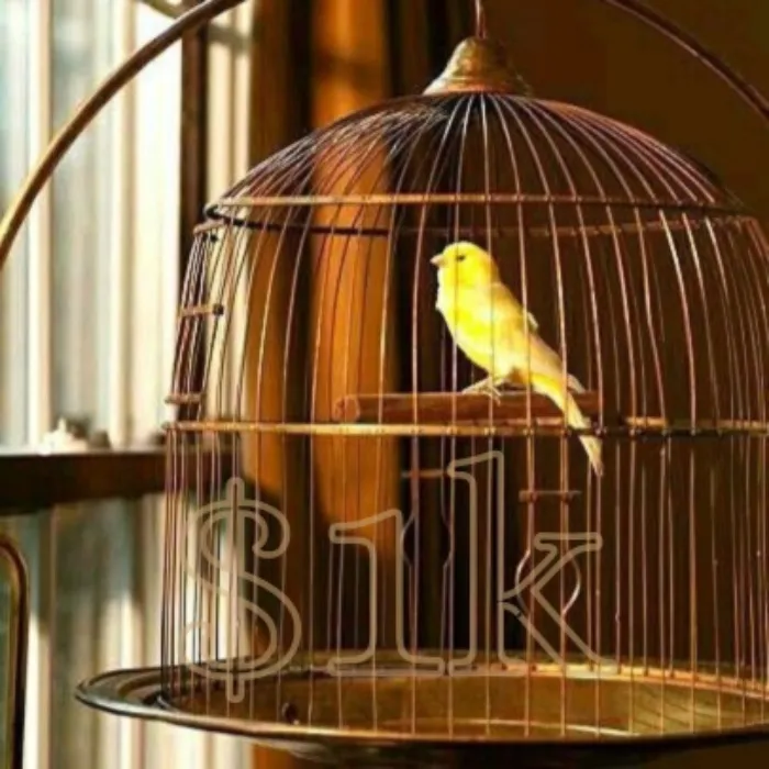 ⊰~ gold birdcage ~⊱