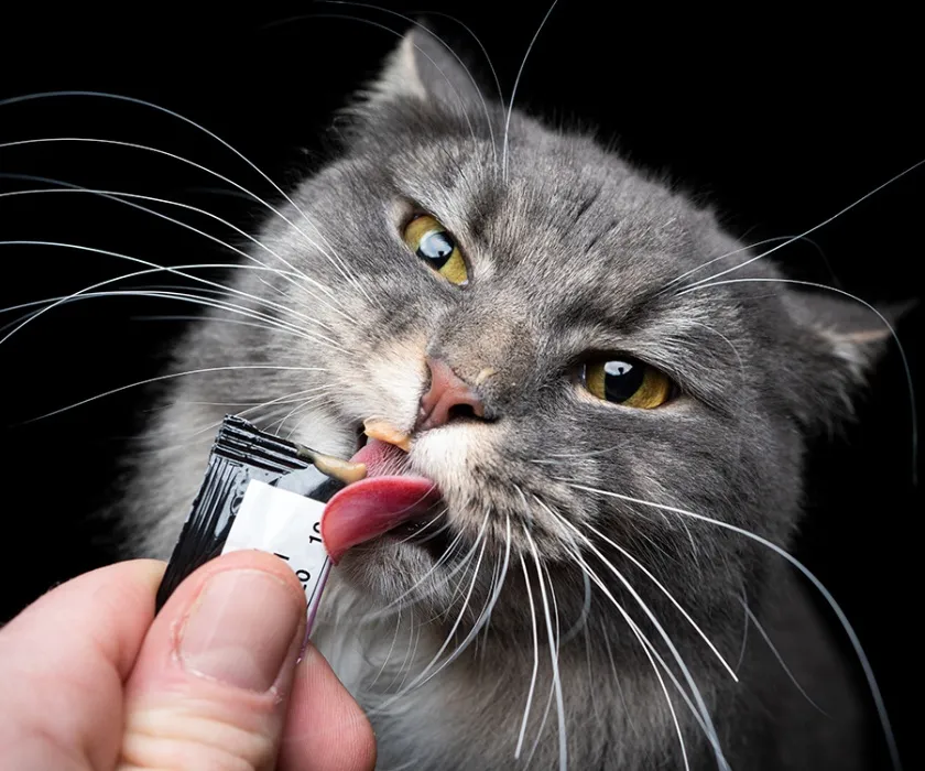 tube cat treats 2!!