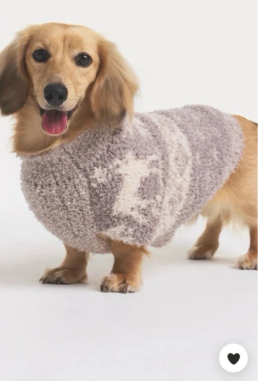 Cozy Pet Sweater 