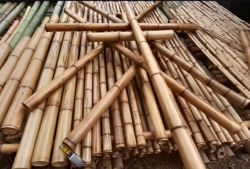 Bamboo for Shibari