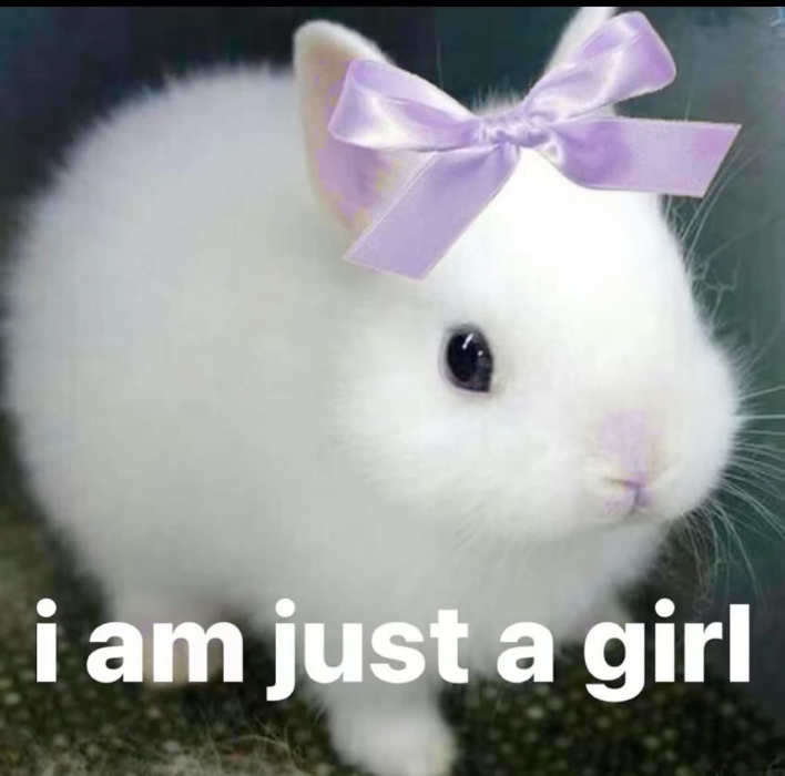 "i'm just a girl" fund 👉🏻👈🏻