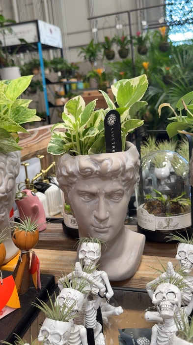 Plant mama