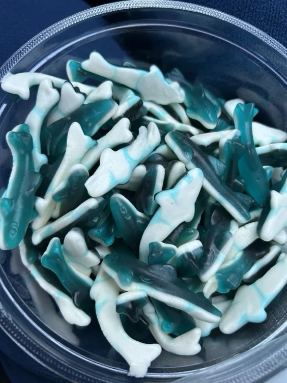 favorite gummy (˶˃⤙˂˶)