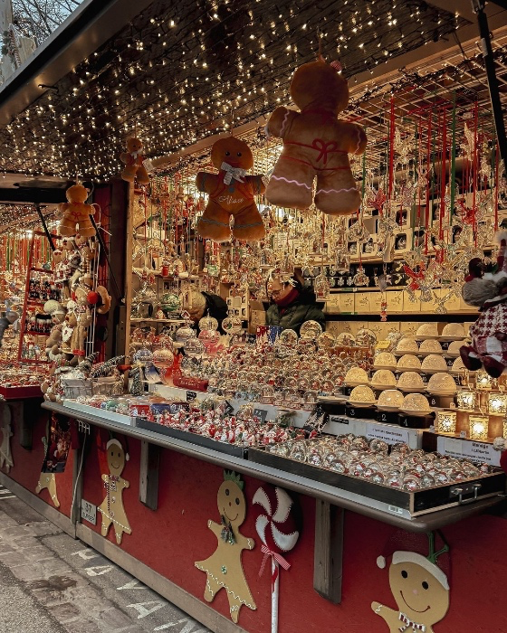 Christmas Market Shopping 🎄