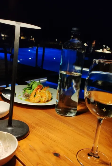 Fancy Dinner Date
