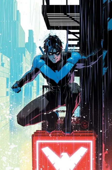 Nightwing Costume 