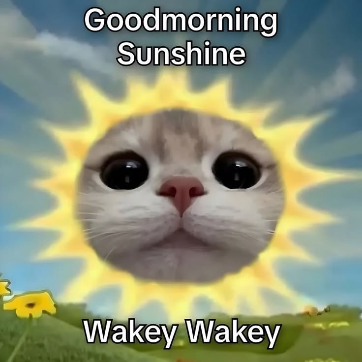 Good Morning🫶🏻