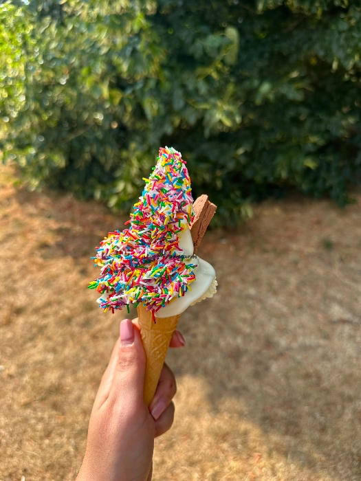 Ice cream (£4.99)