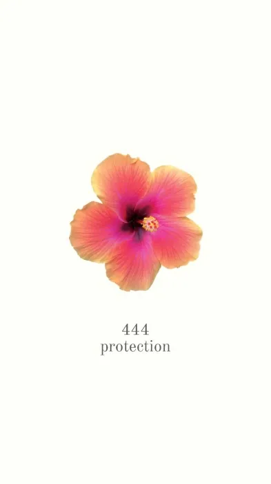 PROTECC