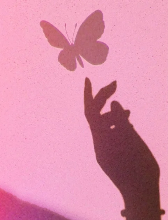 111 ✨
