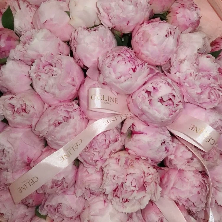 Buy me a bouquet °❀.࿔