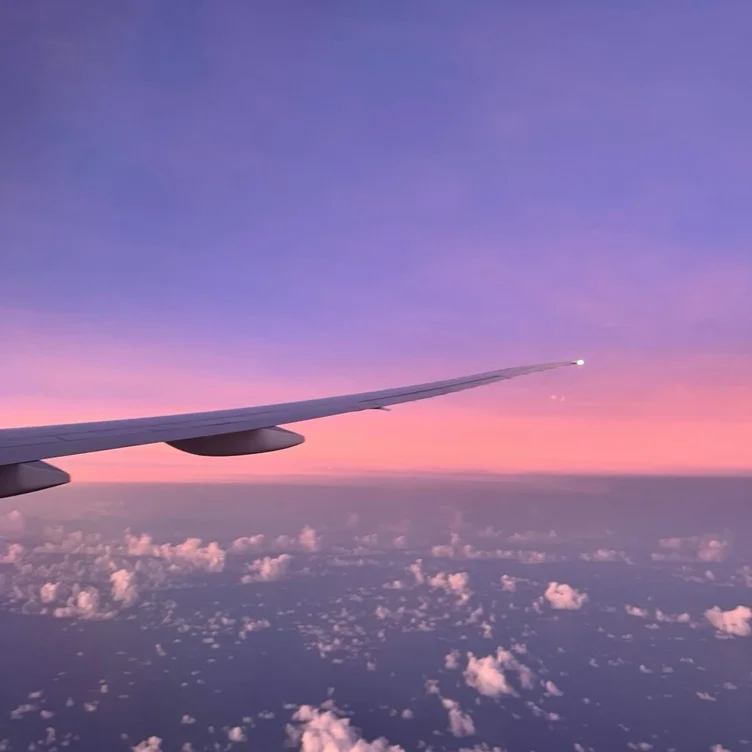 flights (400)