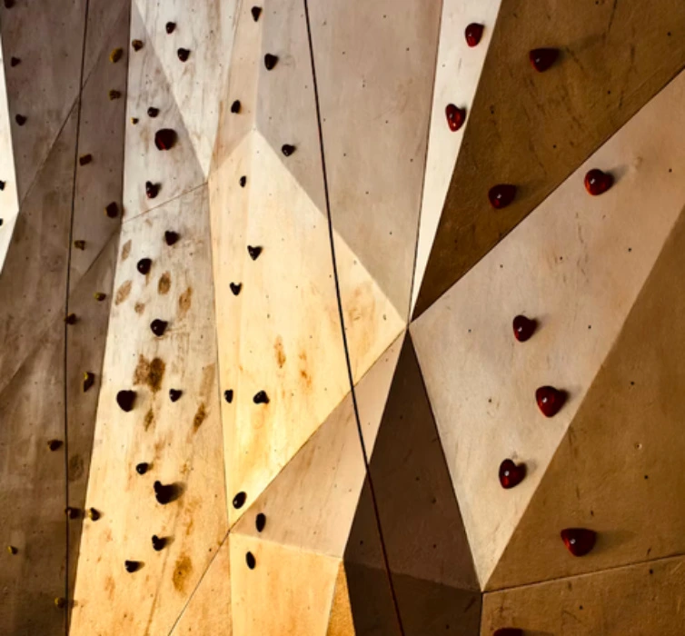 Climbing Gym Membership