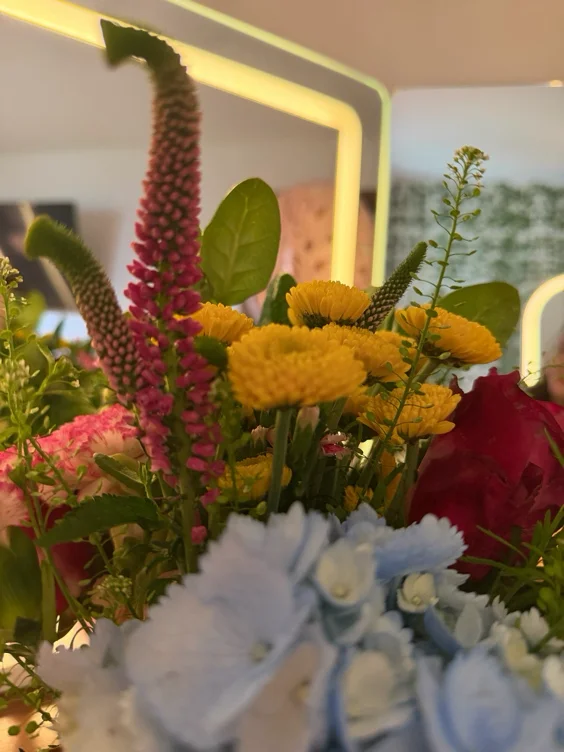 ⋆｡‧˚ ʚ 💐 ɞ˚‧｡⋆
