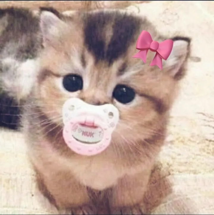 ;3