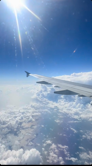 Flight 