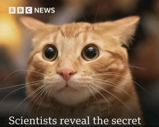 Strawberry Cow Sample Pack