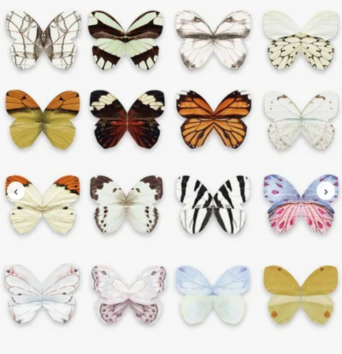 Butterfly Shaped Magnetic Bookmarks