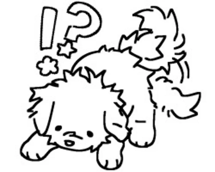 Puppy wanna play?