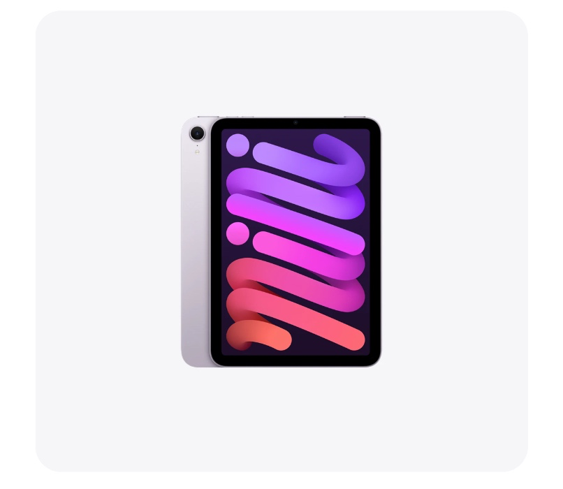 iPad mini - purple 