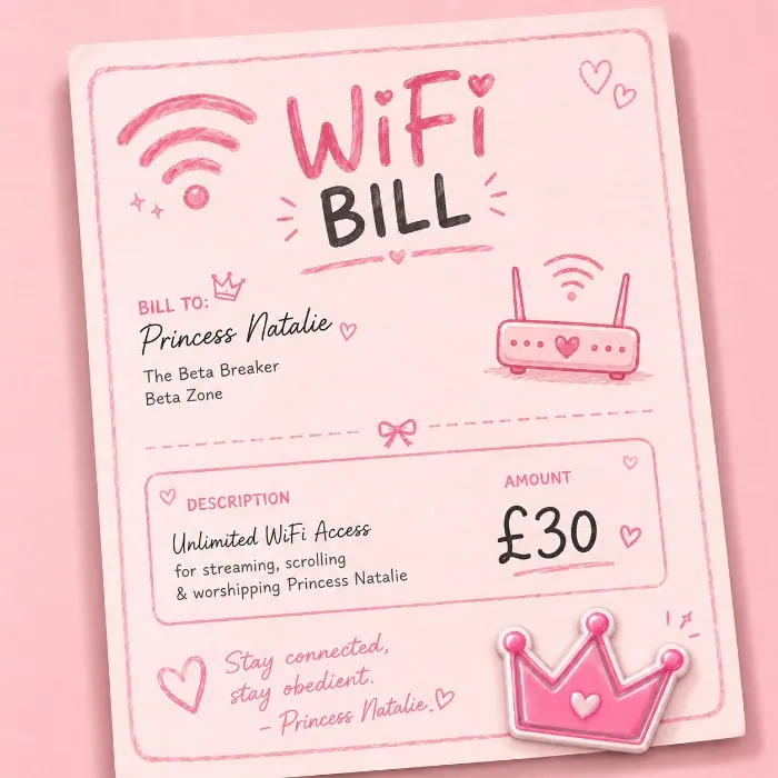 WiFi bill (30)