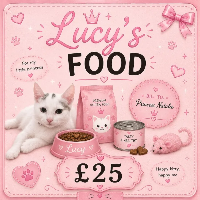 Lucy's Food🐱 (25)