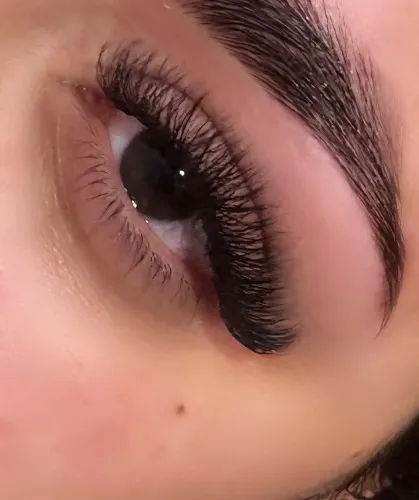 Lashes (40)