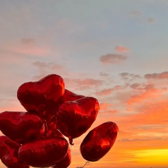 Happy Valentine's Day❤️