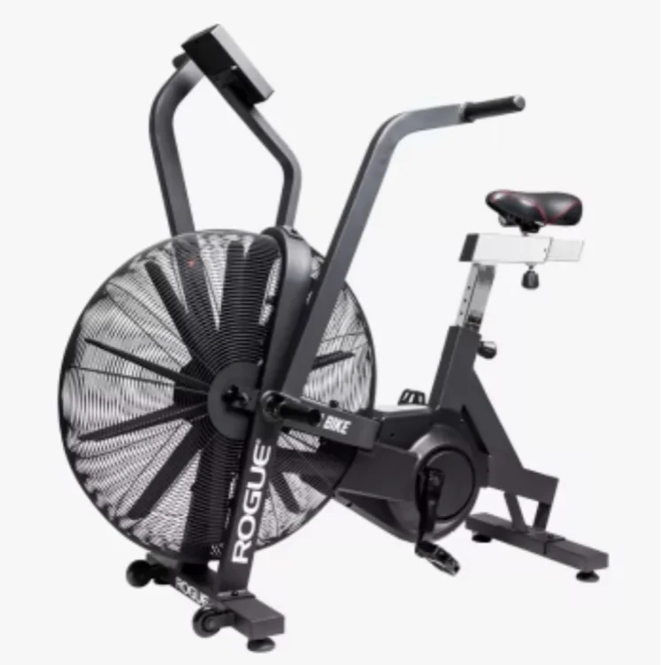 Rogue Echo Bike