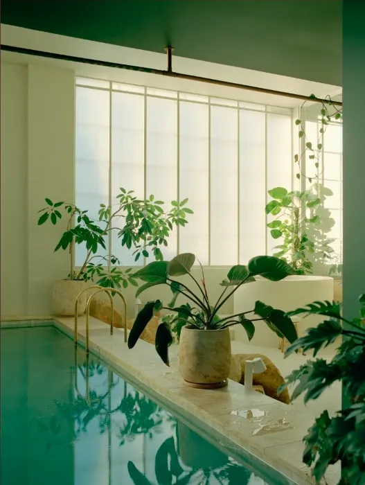 
	senseofself - Online Booking
