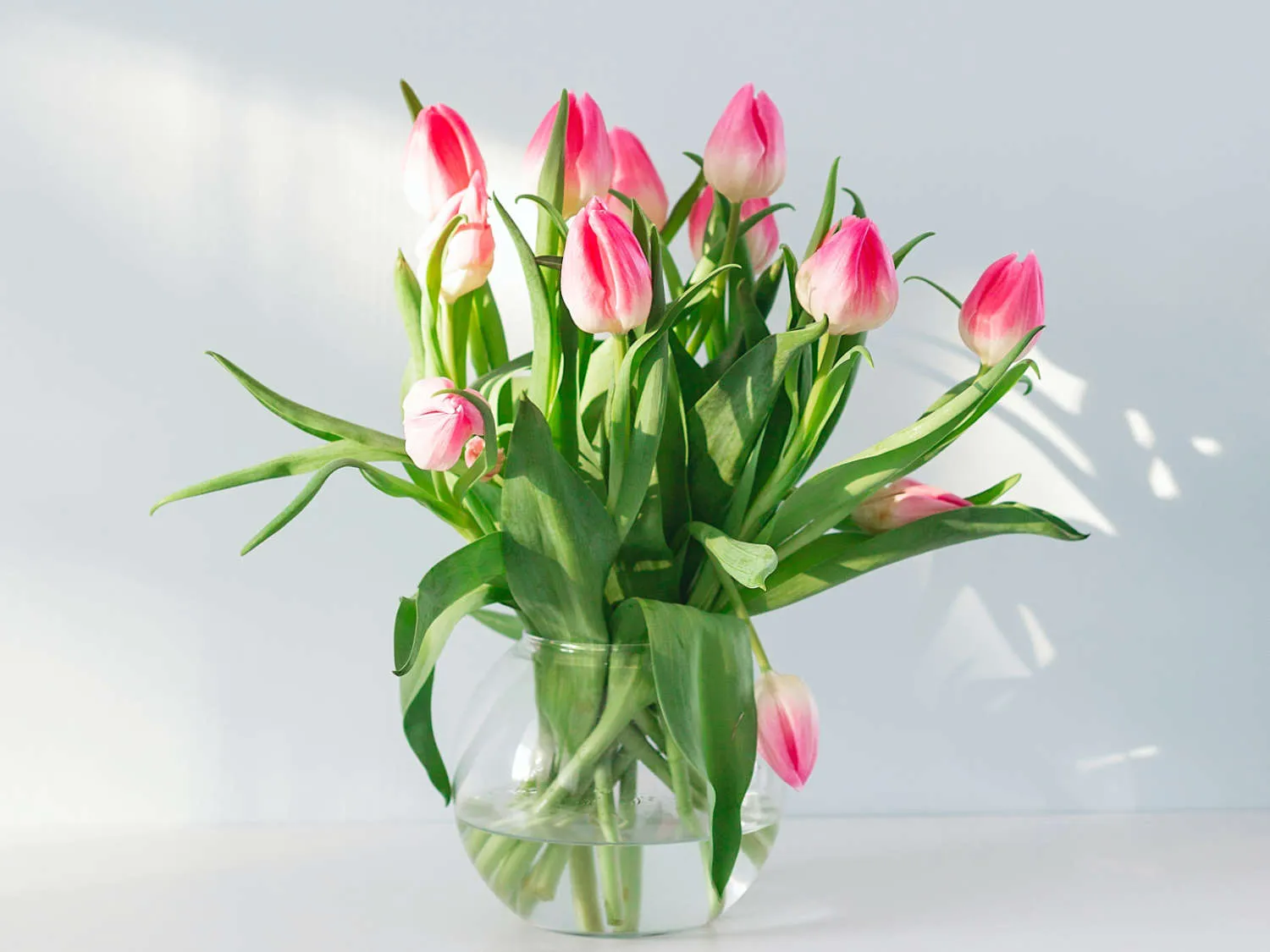 🏷️ Un bouquet de tulipes ♥