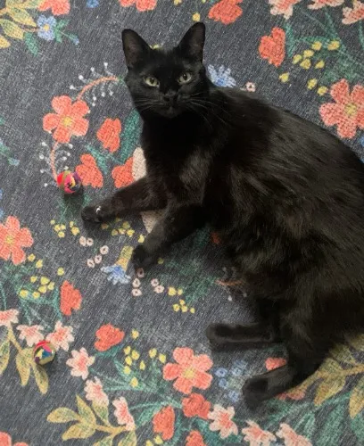 two weeks of spank food <3