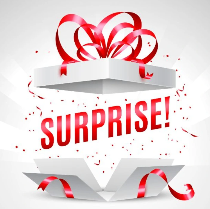 🎁 Surprise Me 🎁