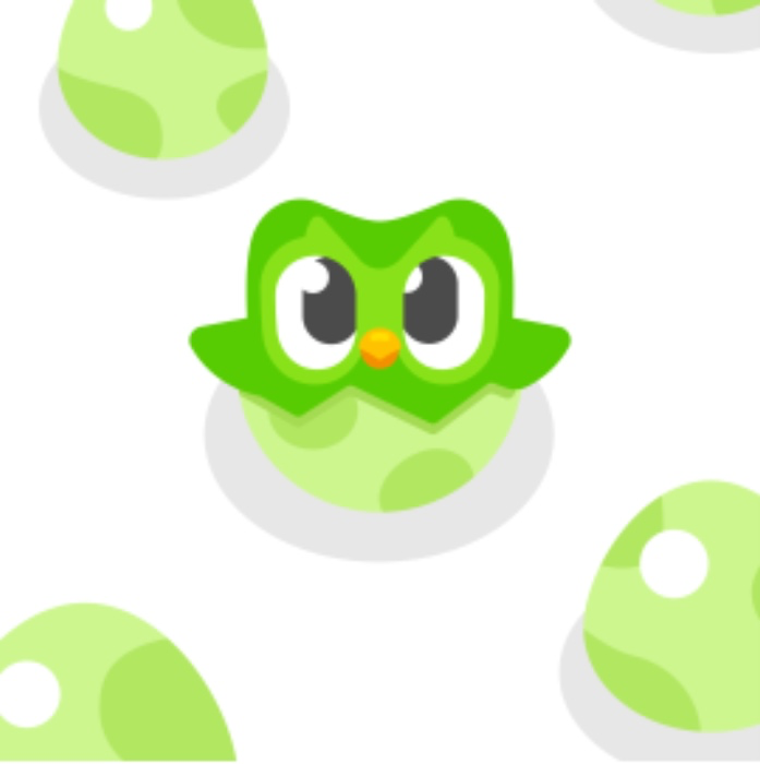 Duolingo Subscription